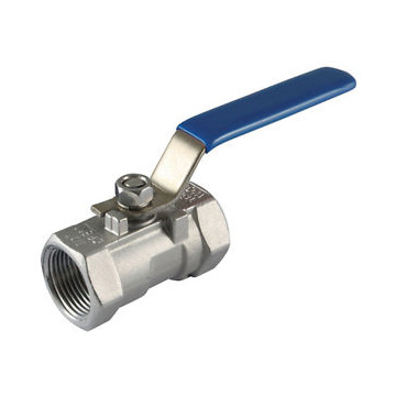 一片式内乐鱼(中国)